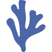 Logo Shiwi